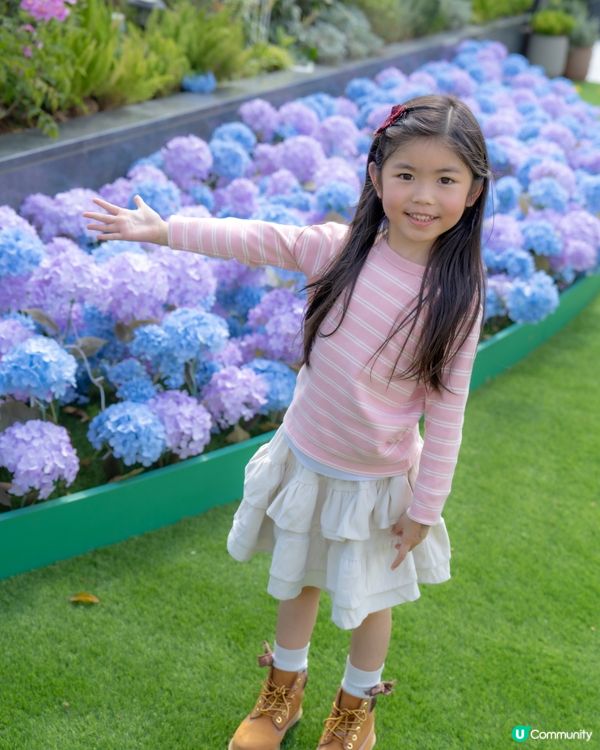 💕｢花之盛宴.光影匯演｣💕