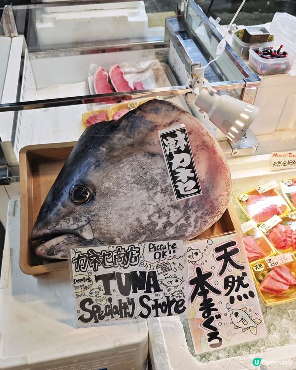 勁🤩新鮮👍超💰抵食🐟刺身