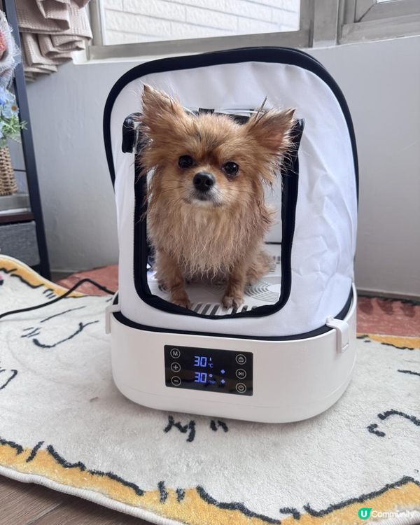 探寵 可折疊寵物烘乾箱