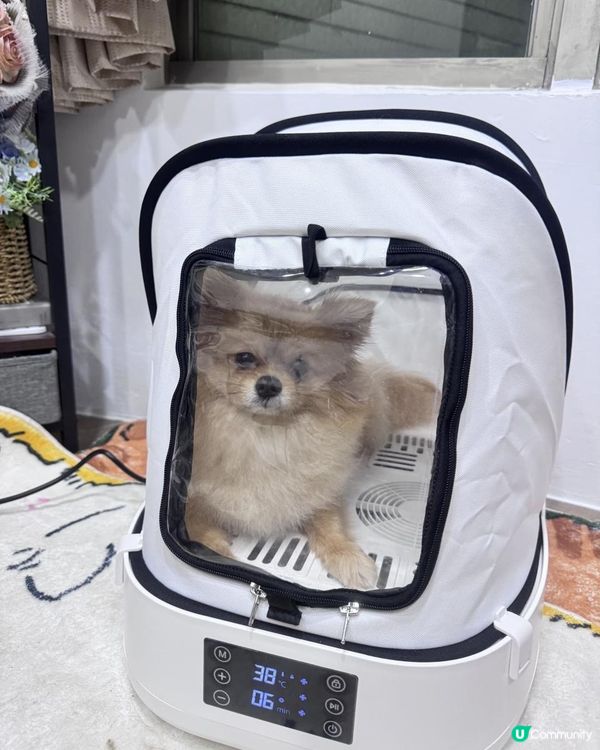 探寵 可折疊寵物烘乾箱