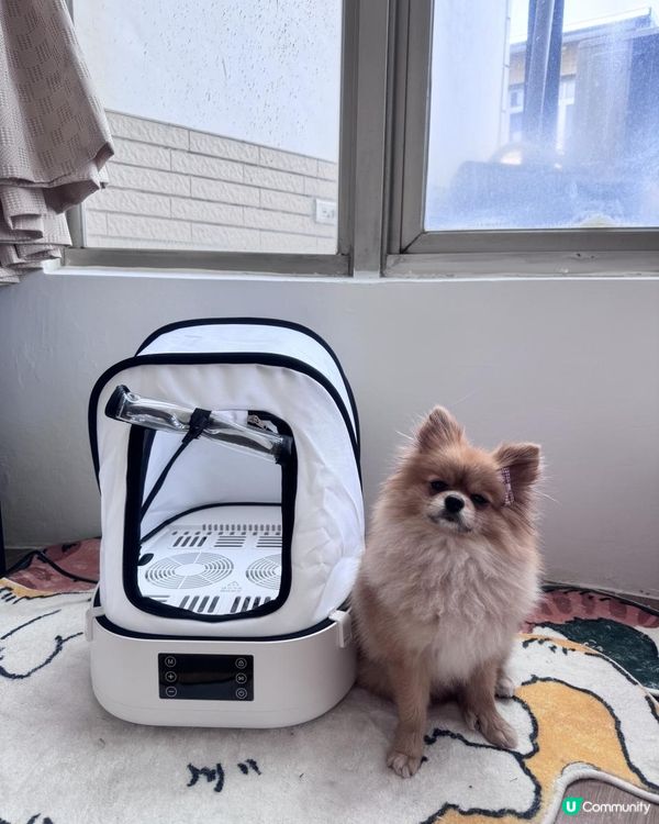 探寵 可折疊寵物烘乾箱