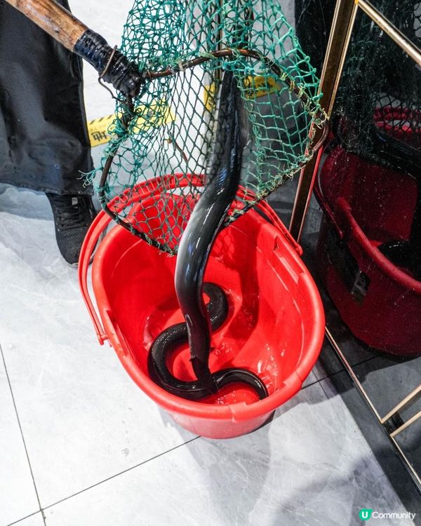 第三次帶媽咪去食「幸福柚子碳火烤肉烤活鰻魚店」