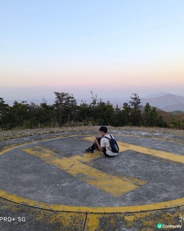 屯門行山好多野豬家族
