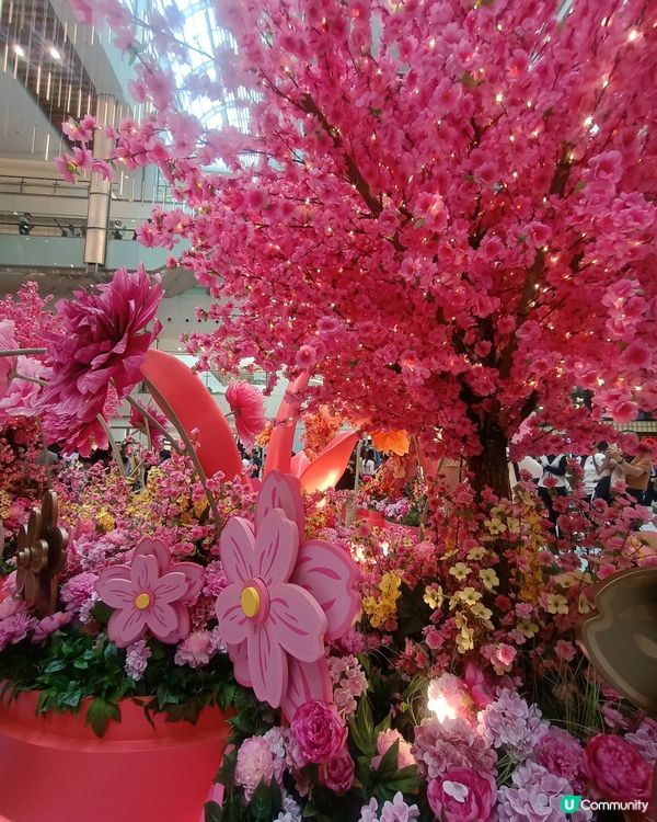 花開結緣風生水起！🌷✨