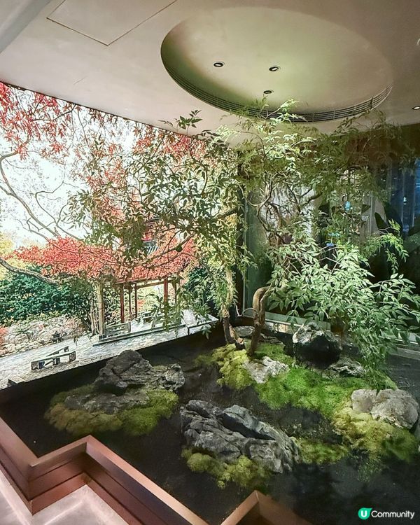 🐟 米芝蓮認證高級湘菜 五種辣椒剁椒魚頭 🌶️