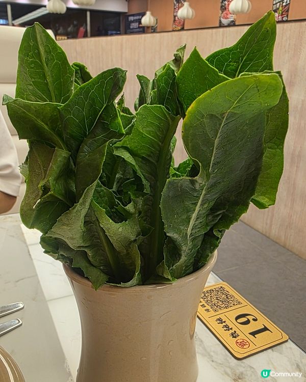 醬料16蚊一位唔貴啦. 滋補滾湯火鍋鹹咗啲. 雪花鮮吊籠肉質...