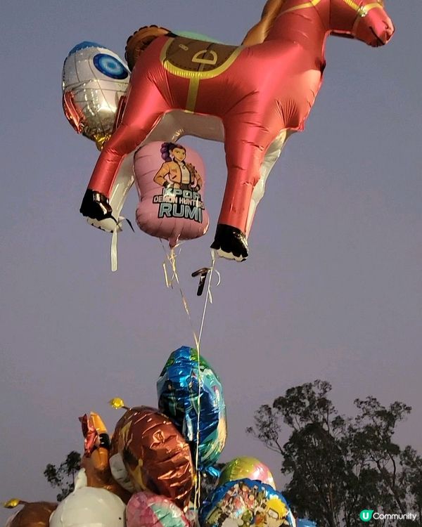 林村許願節2026 ✨ $0入場！