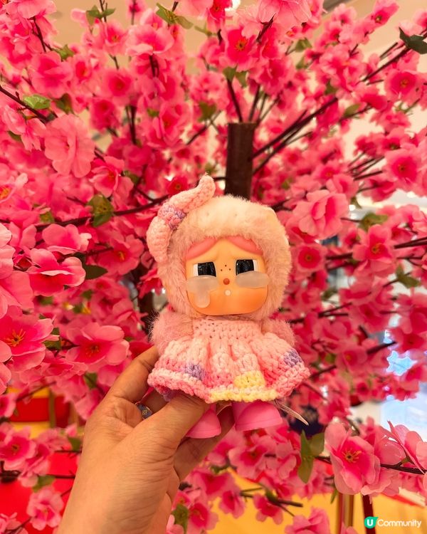 海港城祈福開運🎉🧧