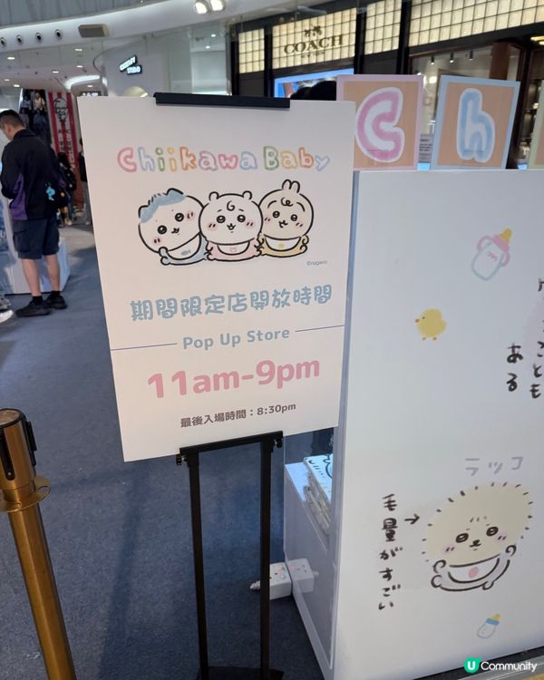 Chiikawa baby香港限定店🤩