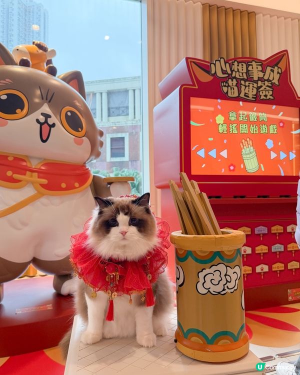 🐱 喵來福到！商場勁開運祭！