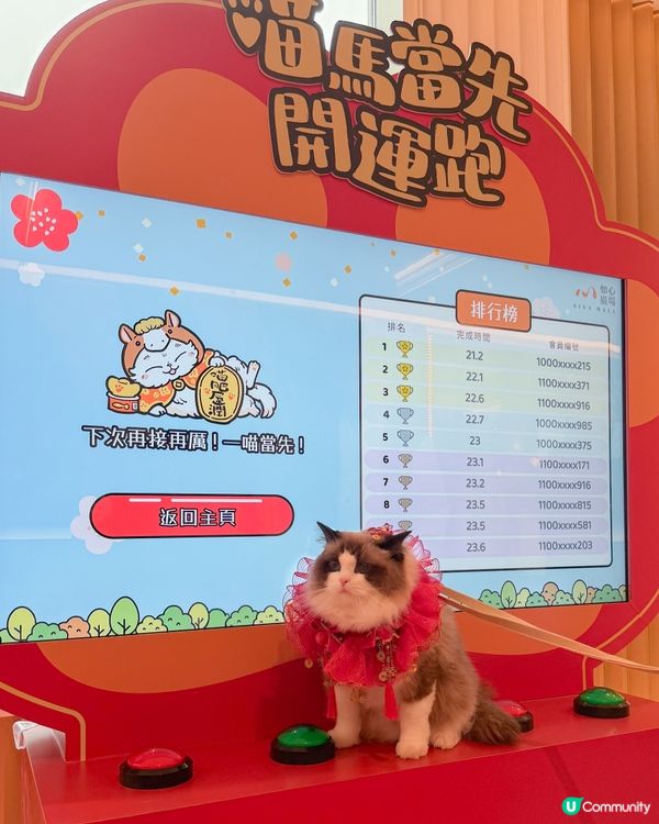 🐱 喵來福到！商場勁開運祭！