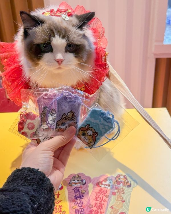 🐱 喵來福到！商場勁開運祭！