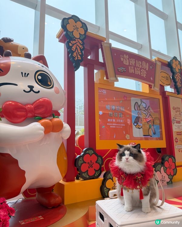 🐱 喵來福到！商場勁開運祭！