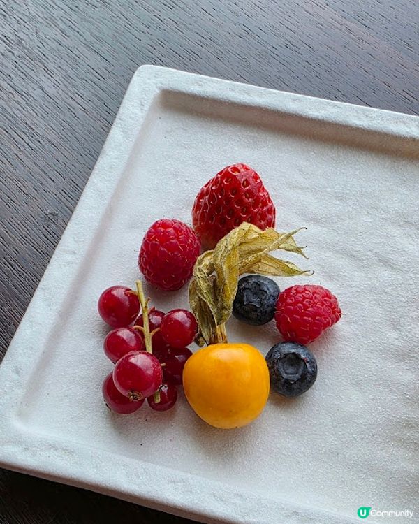 節日限定 X 一人盆菜 @ Cafe Ocean 海洋冰室 ( 海洋公園 )