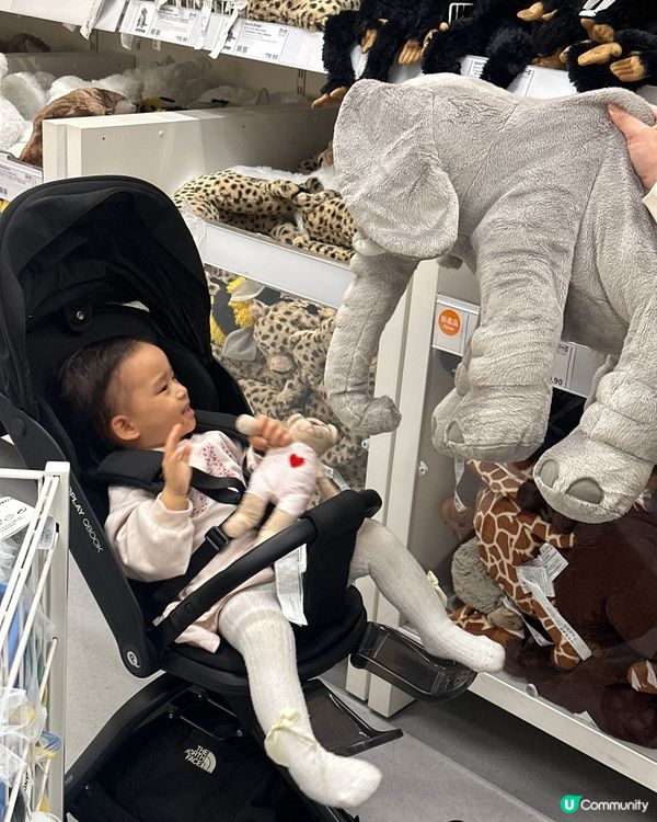 睇動物（公仔）