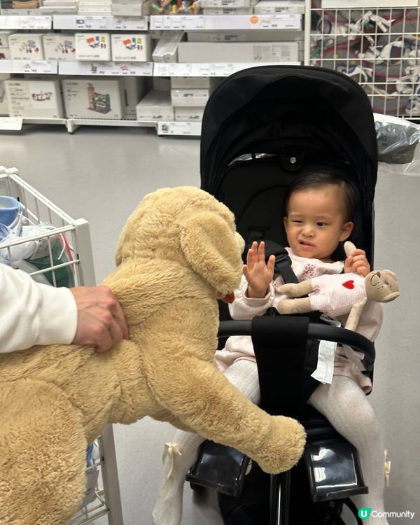 睇動物（公仔）