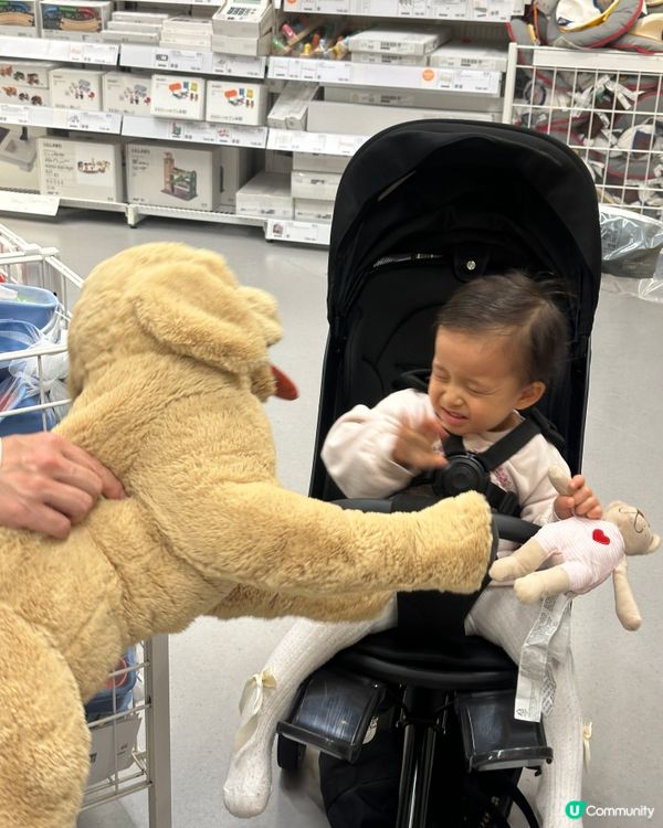 睇動物（公仔）