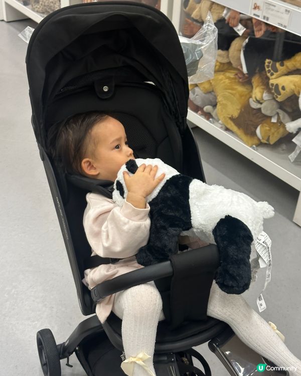 睇動物（公仔）