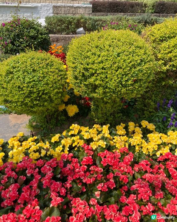 萬馬奔騰在尖沙咀的角落