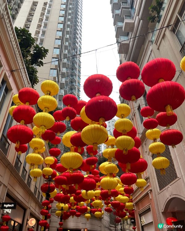 利東街燈海桃林賀新歲2026醒獅表演