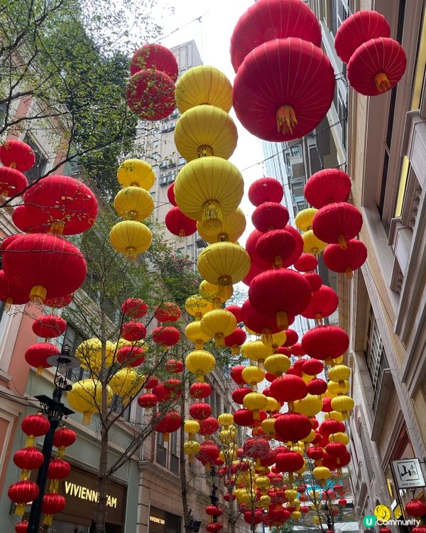 利東街燈海桃林賀新歲2026醒獅表演