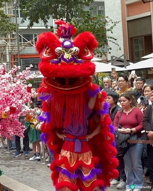 利東街燈海桃林賀新歲2026醒獅表演