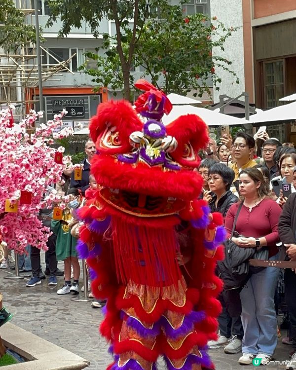 利東街燈海桃林賀新歲2026醒獅表演