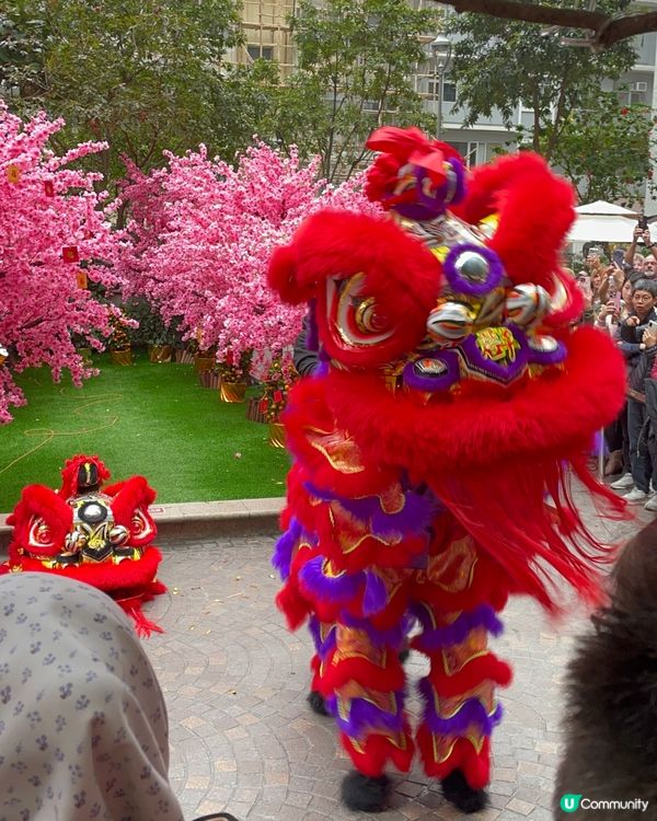 利東街燈海桃林賀新歲2026醒獅表演