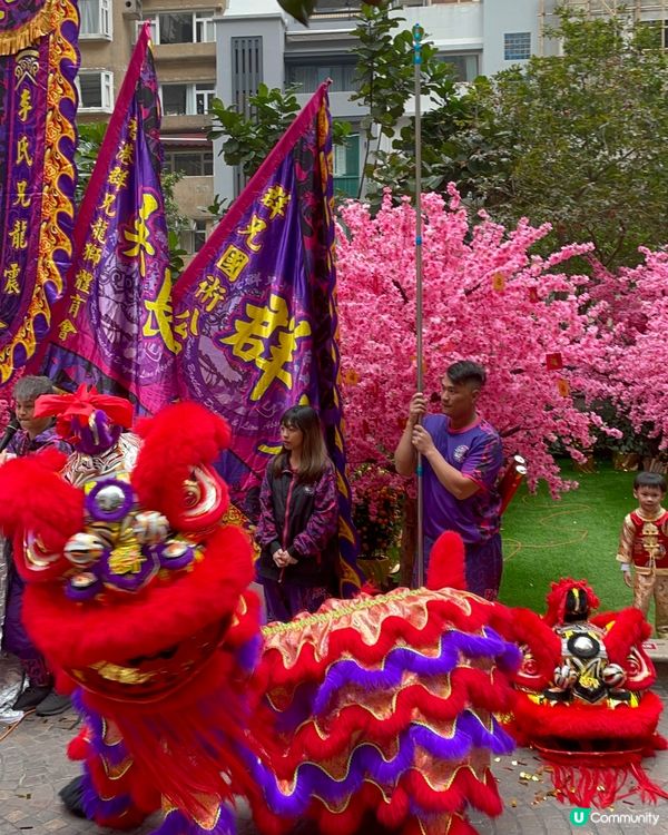 利東街燈海桃林賀新歲2026醒獅表演