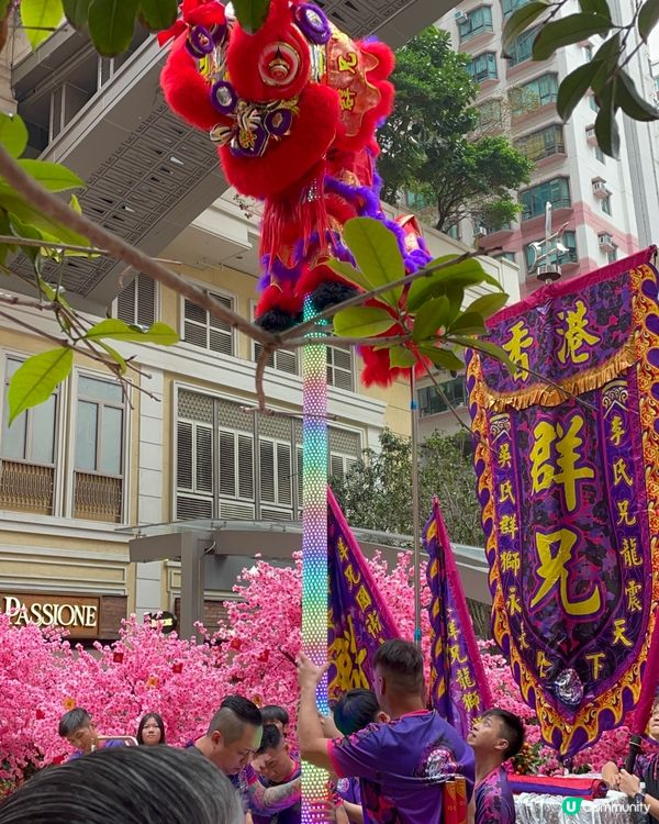 利東街燈海桃林賀新歲2026醒獅表演