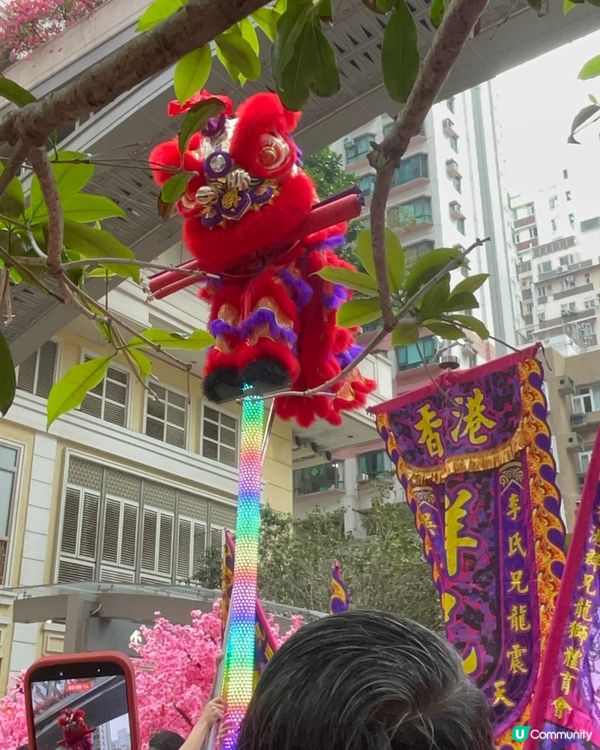 利東街燈海桃林賀新歲2026醒獅表演