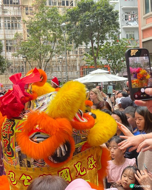利東街燈海桃林賀新歲2026醒獅表演