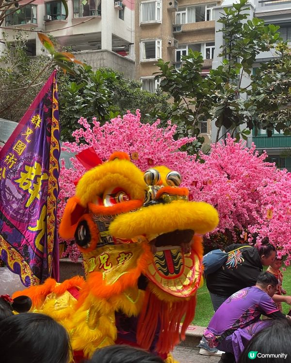 利東街燈海桃林賀新歲2026醒獅表演
