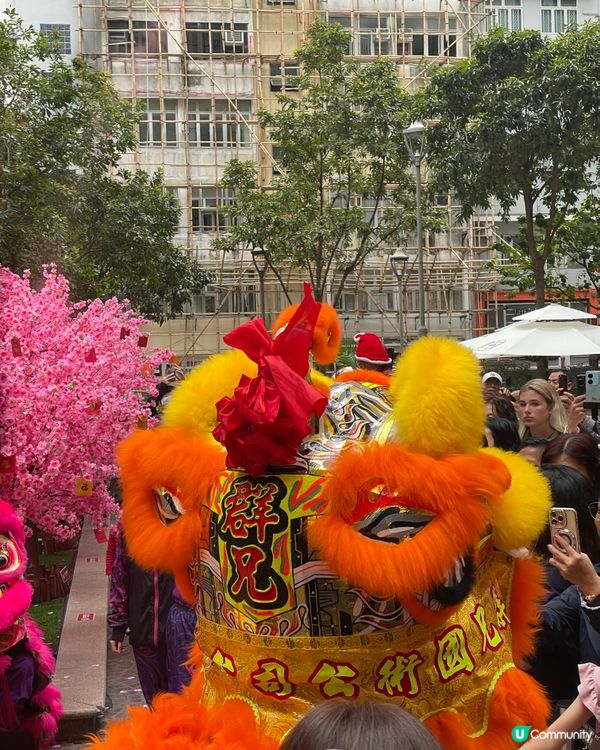 利東街燈海桃林賀新歲2026醒獅表演