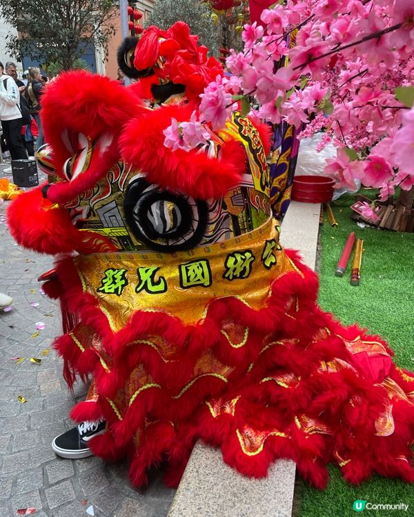 利東街燈海桃林賀新歲2026醒獅表演