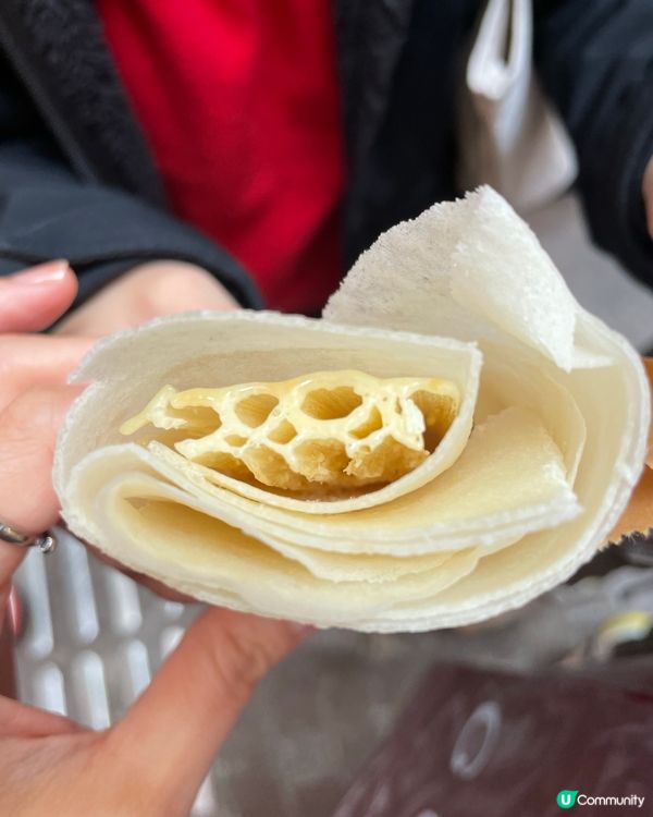 利東街燈海桃林賀新歲2026醒獅表演