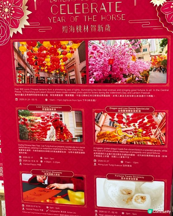 利東街燈海桃林賀新歲2026醒獅表演