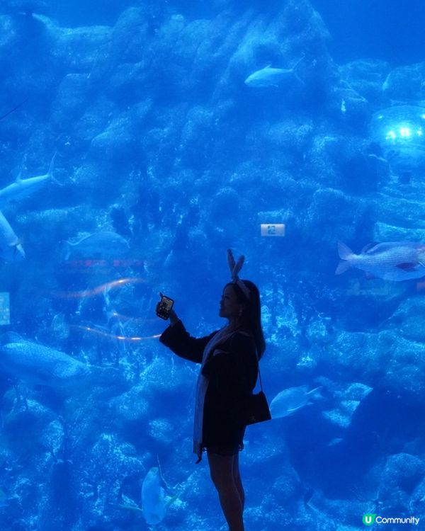 嘩！甜到爆！⁶💖海洋公園6周年遊！