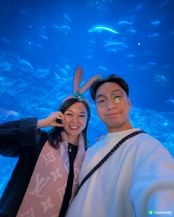 嘩！甜到爆！⁶💖海洋公園6周年遊！