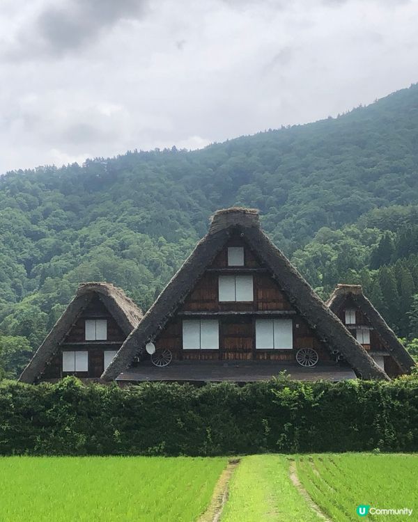 環遊日本🇯🇵｜金澤白川鄉日歸攻略🛖