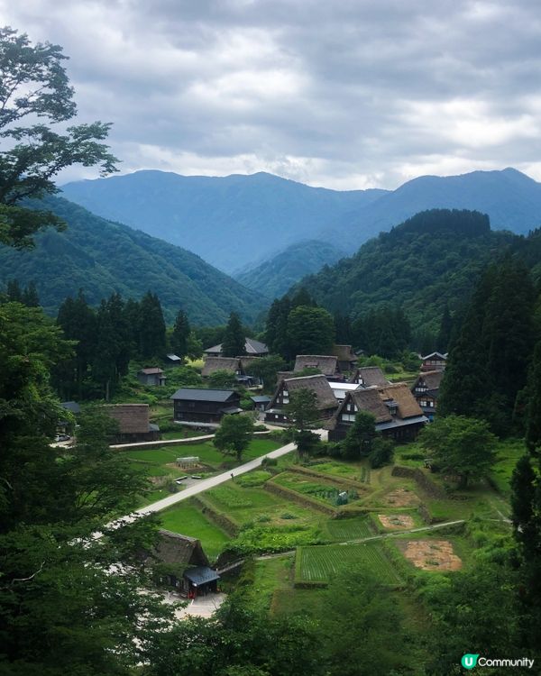 環遊日本🇯🇵｜金澤白川鄉日歸攻略🛖