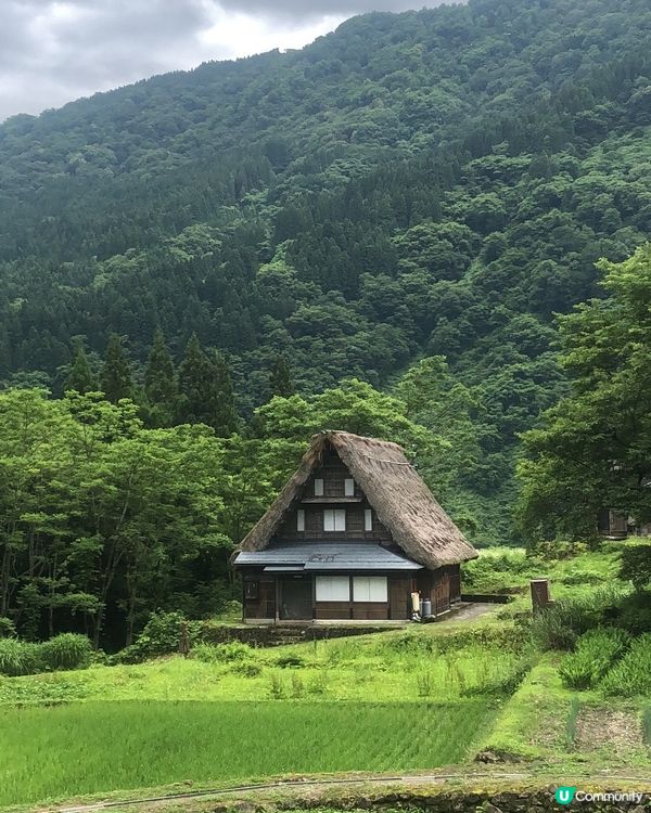 環遊日本🇯🇵｜金澤白川鄉日歸攻略🛖