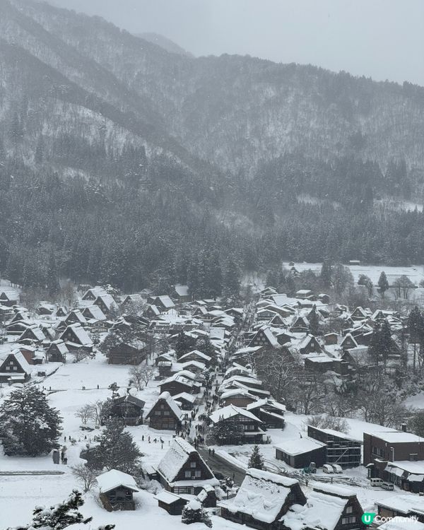環遊日本🇯🇵｜金澤白川鄉日歸攻略🛖