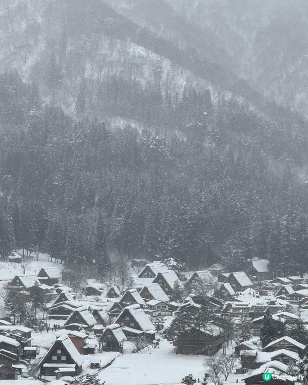 環遊日本🇯🇵｜金澤白川鄉日歸攻略🛖