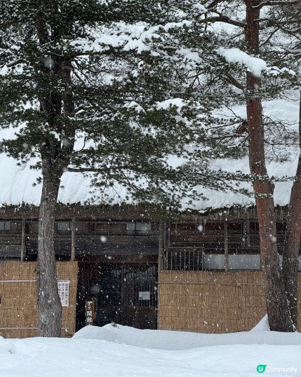 環遊日本🇯🇵｜金澤白川鄉日歸攻略🛖