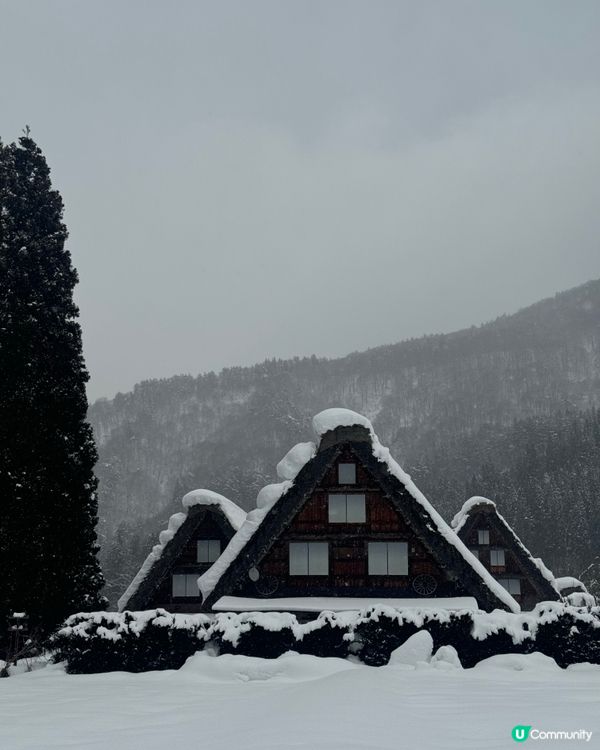 環遊日本🇯🇵｜金澤白川鄉日歸攻略🛖