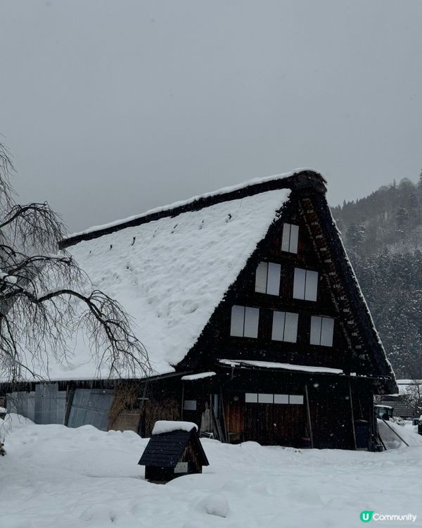 環遊日本🇯🇵｜金澤白川鄉日歸攻略🛖