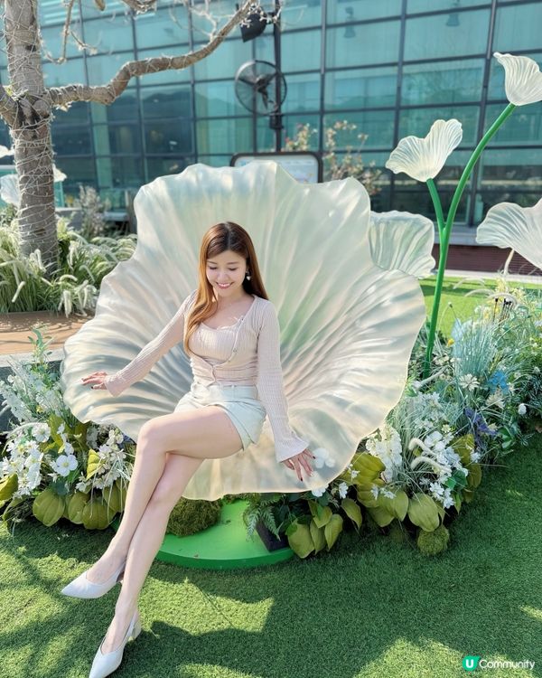 🌺✨｢花之盛宴.光影匯演｣✨🌺 真係靚到犯規!