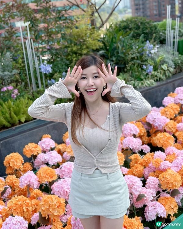 🌺✨｢花之盛宴.光影匯演｣✨🌺 真係靚到犯規!