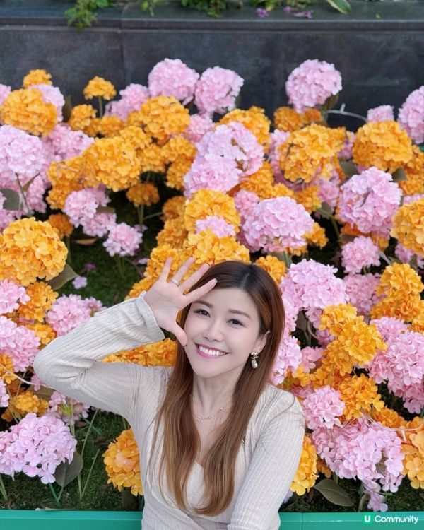 🌺✨｢花之盛宴.光影匯演｣✨🌺 真係靚到犯規!